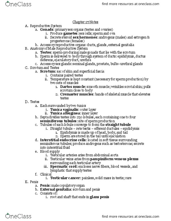 BIO106 Lecture Notes - Lecture 8: Benign Prostatic Hyperplasia, Prostatic Urethra, Ejaculatory Duct thumbnail