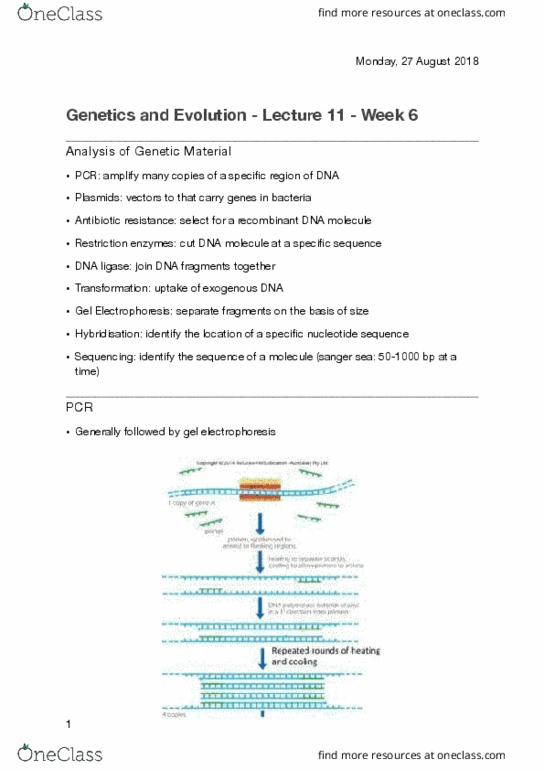 BIOL10005 Lecture Notes - Lecture 11: Dna Ligase, Antimicrobial Resistance, Electrophoresis thumbnail