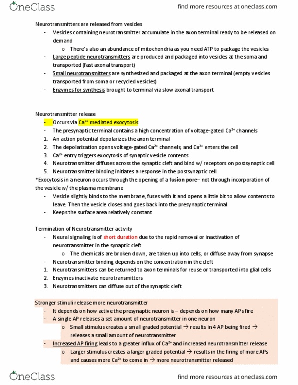 PHSI 208 Lecture Notes - Lecture 10: Chemical Synapse, Axon Terminal, Axoplasmic Transport thumbnail