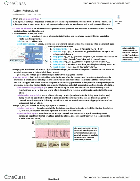 BCS 240 Lecture Notes - Lecture 13: Resting Potential, Membrane Potential, Rectifier thumbnail
