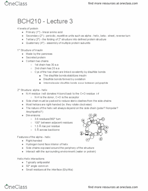 BCH210H1 Lecture Notes - Lecture 3: Alpha Helix, Hydrogen Bond, Beta Sheet thumbnail