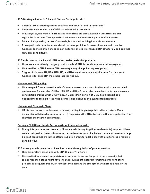 BIOL 1000 Chapter Notes -Nucleosome, Heterochromatin, Histone H2B thumbnail