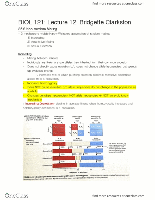 BIOL 121 Lecture Notes - Lecture 12: Allele Frequency, Zygosity, Genotype Frequency cover image