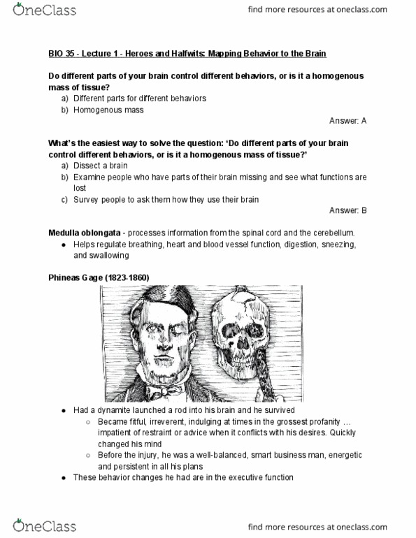 BIO SCI 35 Lecture Notes - Lecture 1: Phineas Gage, Medulla Oblongata, Blood Vessel cover image