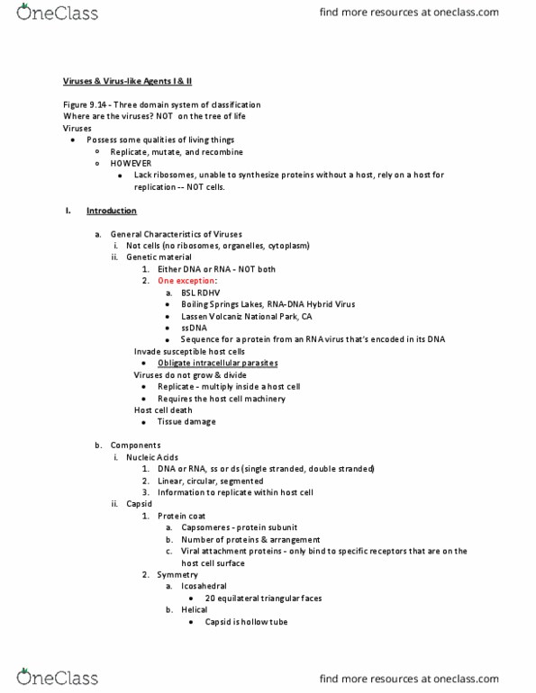 01:447:390 Lecture Notes - Lecture 4: Rna Virus, Protein Subunit, Capsid thumbnail