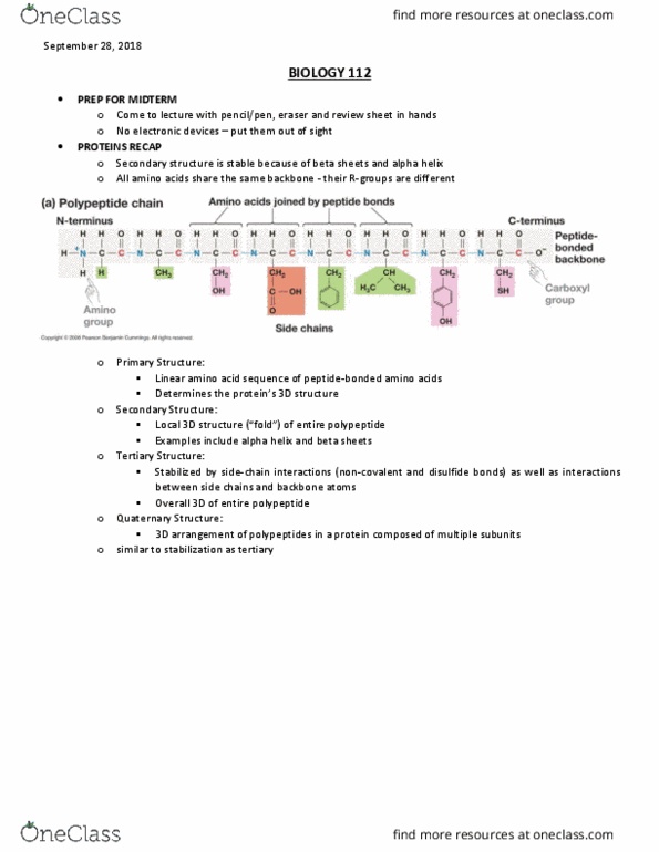 BIOL 112 Lecture Notes - Lecture 11: Hydrogen Bond, Thermodynamics, Alpha Helix cover image