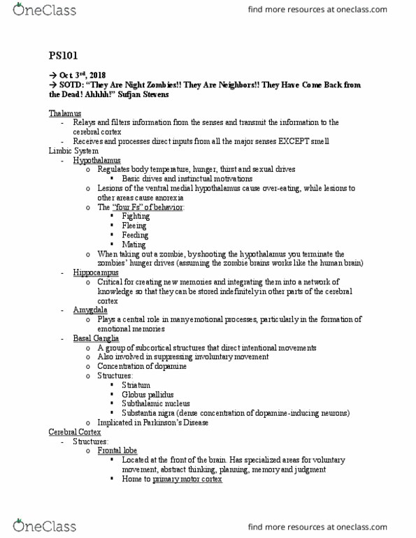 CAS PS 101 Lecture Notes - Lecture 10: Parietal Lobe, Postcentral Gyrus, Auditory Cortex thumbnail