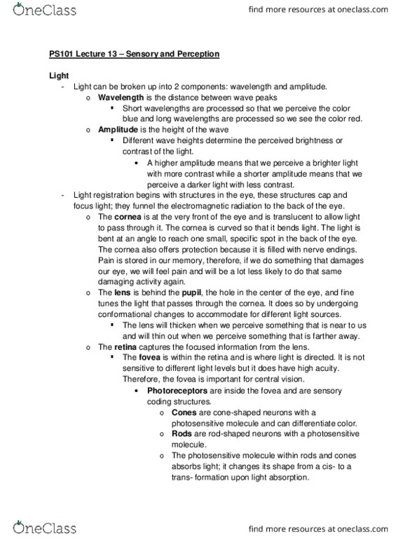 CAS PS 101 Lecture Notes - Lecture 13: Medium Wave, Lateral Geniculate Nucleus, Shortwave Radio cover image