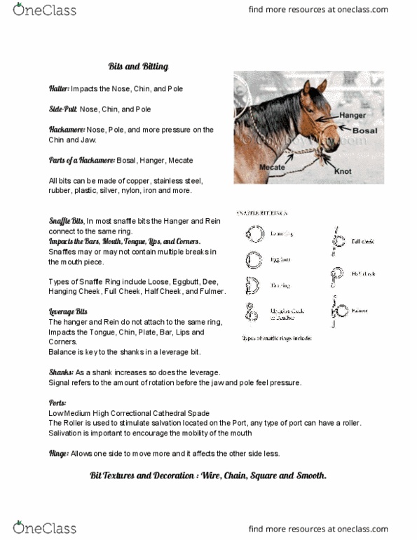 ANEQ 102 Lecture Notes - Lecture 2: Rigging, Polyethylene, Sidesaddle thumbnail