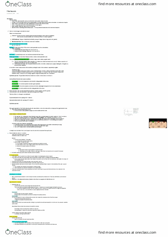 PSYO 1011 Chapter Notes - Chapter 3: Diazepam, 5-Ht1A Receptor, Acetylcholine thumbnail