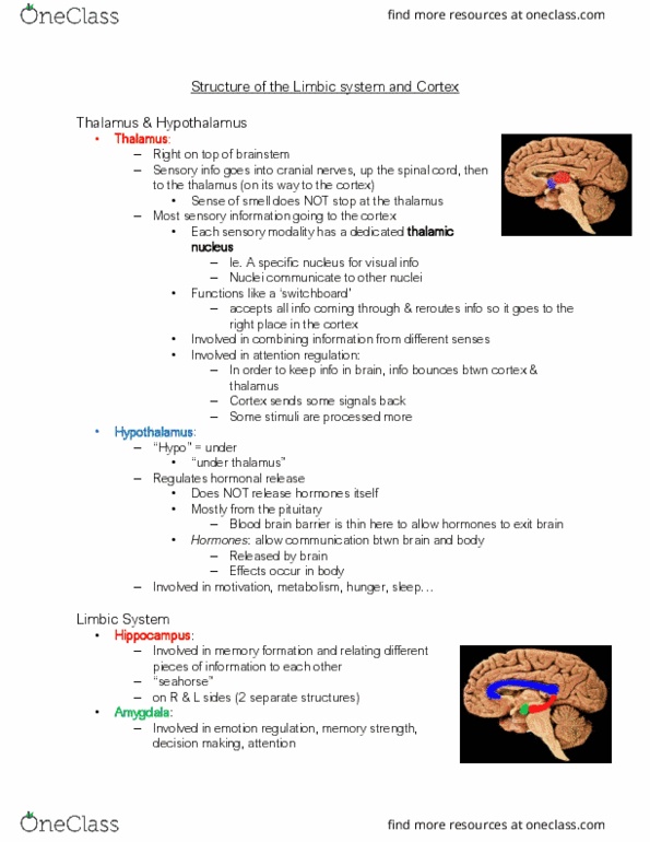 PS263 Lecture Notes - Lecture 7: Raphe Nuclei, Motor Cortex, Proprioception thumbnail