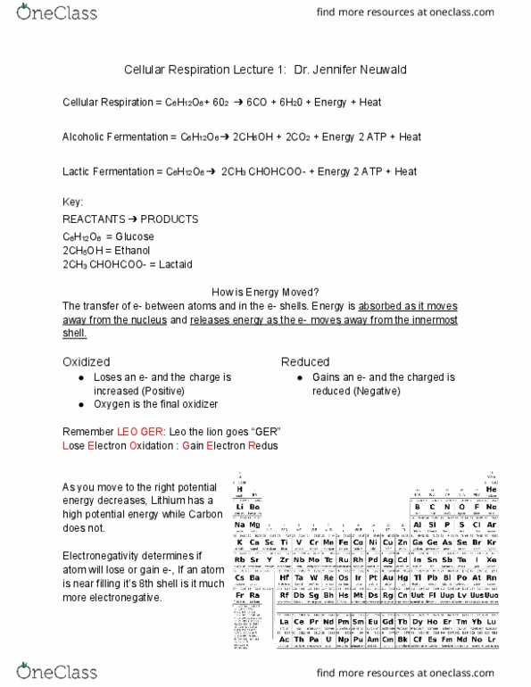 LIFE 102 Lecture Notes - Lecture 5: Lactase, Magic 2Ch, Electronegativity thumbnail