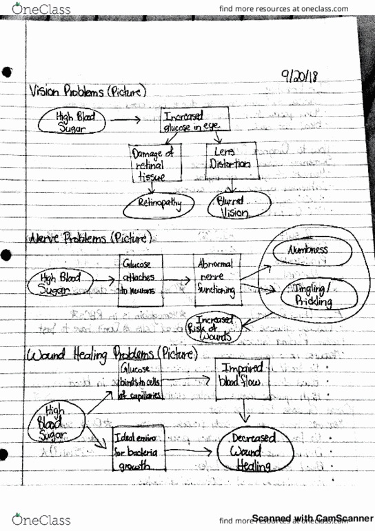 BB H 130 Lecture 9: BBH 130 Lecture 9 thumbnail