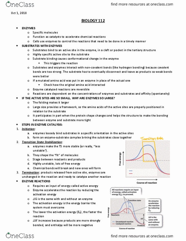 BIOL 112 Lecture Notes - Lecture 12: Leucine, Facilitated Diffusion, Passive Transport cover image
