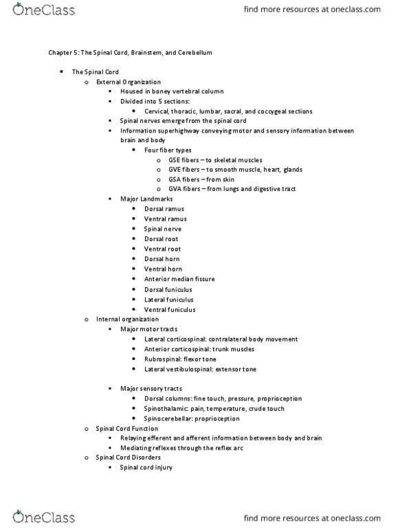 CSD-4766 Lecture Notes - Lecture 2: Cerebellum, Dysdiadochokinesia, Paresthesia thumbnail