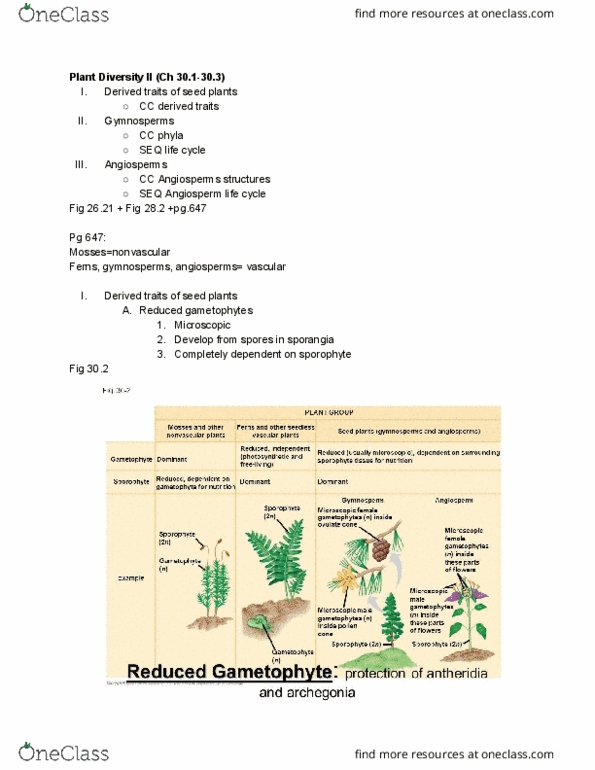 01:119:116 Lecture Notes - Lecture 9: Ovule, Microspore, Sporangium thumbnail
