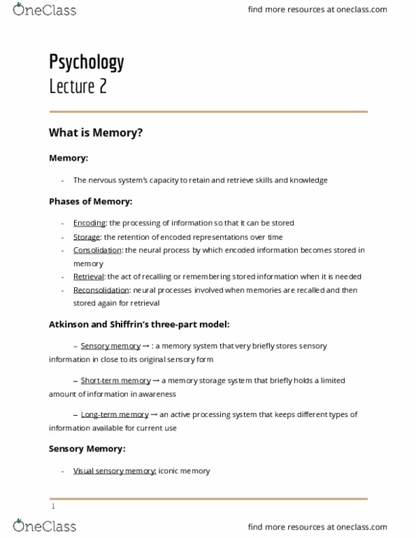 01:830:101 Lecture Notes - Lecture 2: Memory Span, Echoic Memory, Iconic Memory thumbnail