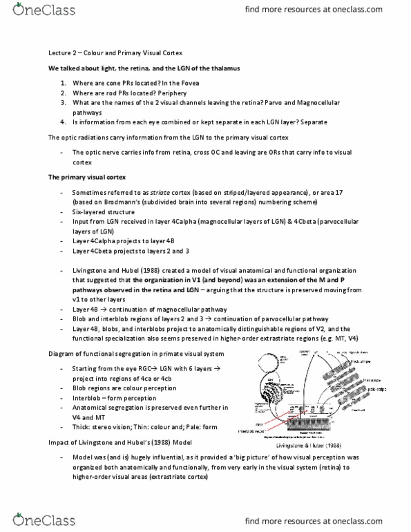 PSYC51H3 Lecture Notes - Lecture 2: Transmissometer, Scotoma, Color Blindness thumbnail