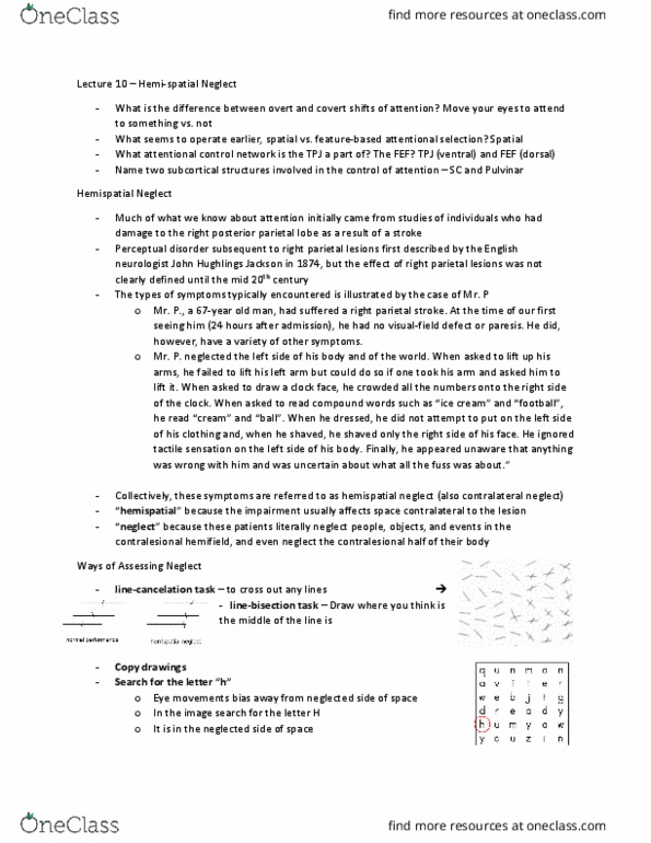 PSYC51H3 Lecture Notes - Lecture 10: Unimodality, Mesosphere, Retinotopy thumbnail