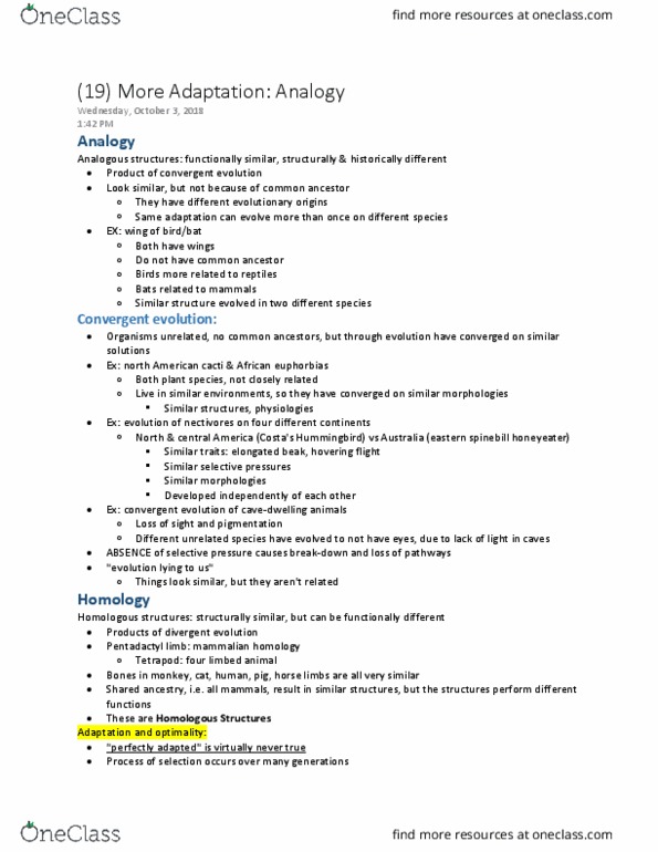 BIOLOGY 1114 Lecture Notes - Lecture 19: Crescentia Alata, Exaptation, Retina thumbnail