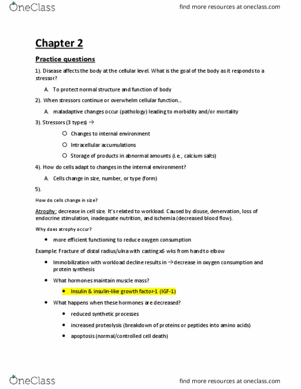 HTHRHSC 5510 Study Guide Fall 2018, Final Nitric Oxide, Hair Loss