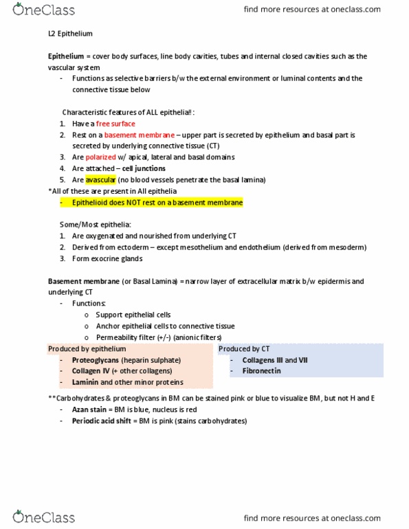 ACB 406.3 Lecture Notes - Lecture 2: Cell Membrane, Urothelium, Intercalated Disc thumbnail
