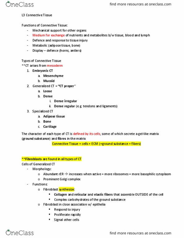 ACB 406.3 Lecture 3: Connective Tissue thumbnail