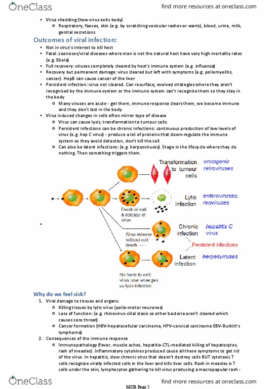BIOM20001 Lecture Notes - Lecture 49: Point Mutation, Antigenic Drift, Antibody thumbnail