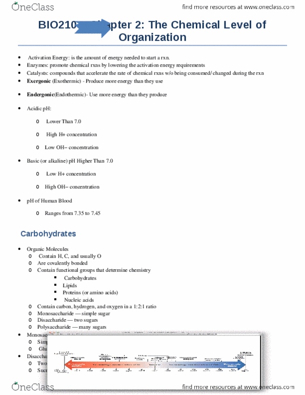 BIO210Y5 Chapter Notes - Chapter 2: Maltose, Endergonic Reaction, Exothermic Process thumbnail