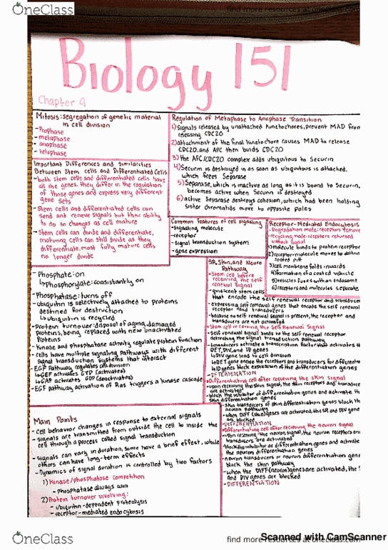 BIOLOGY 151 Chapter 9: bio 9 study guide thumbnail