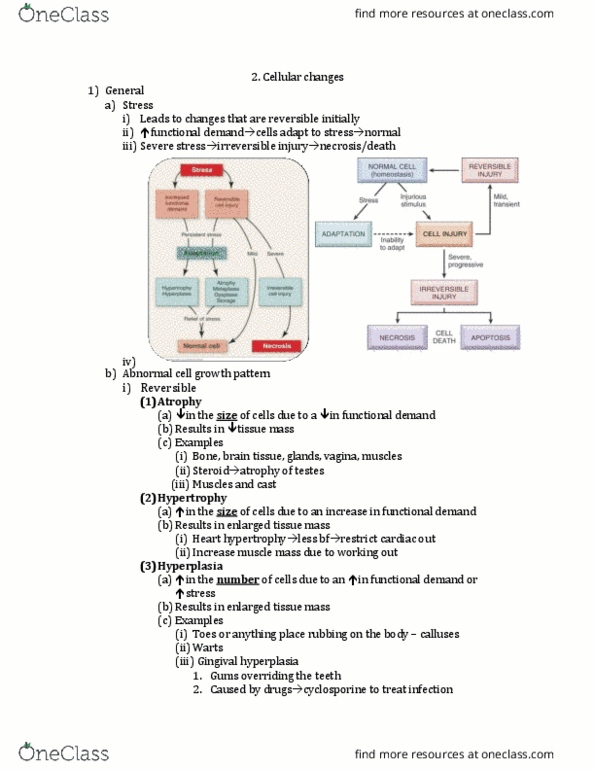 NURSE-UN 1435 Lecture Notes - Lecture 1: Myoglobin, Dysplasia, Lysosome thumbnail