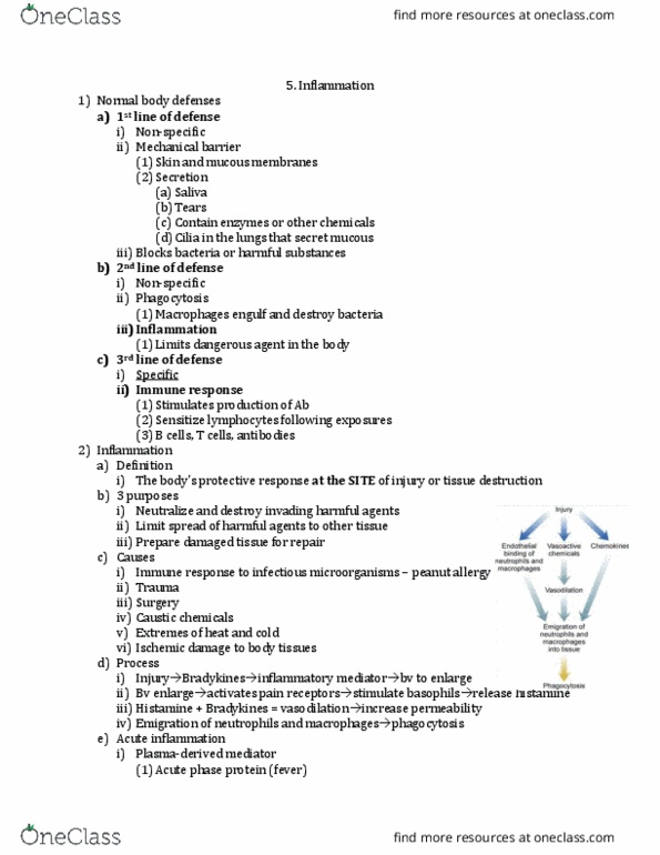 NURSE-UN 1435 Lecture Notes - Lecture 2: Prostaglandin, Histamine, Acute-Phase Protein thumbnail