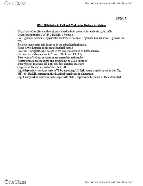 BMS-UY 1004 Lecture Notes - Lecture 6: Electron Transport Chain, Cellular Respiration, Citric Acid Cycle thumbnail