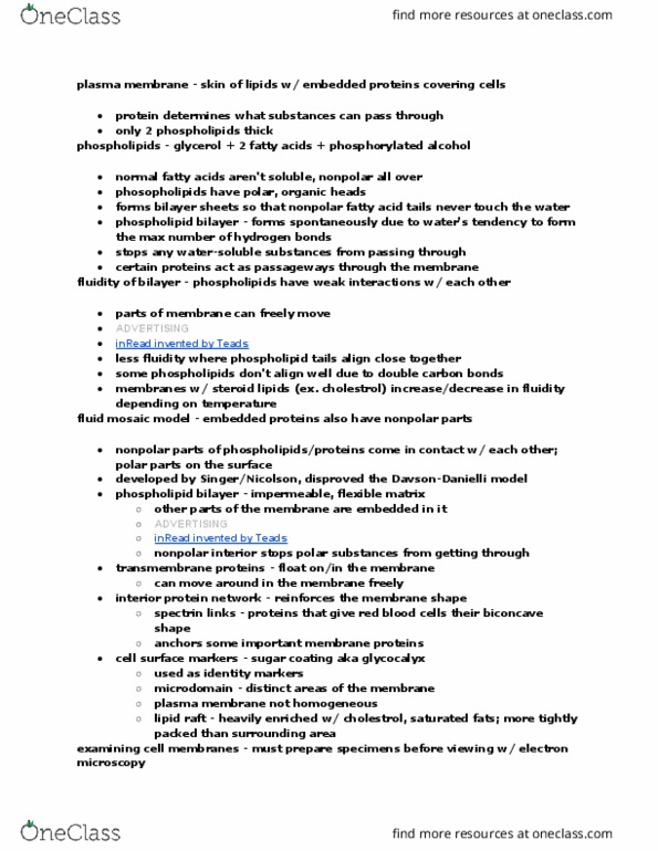 BY 108 Chapter Notes - Chapter 6: Cytoskeleton, Protein Structure, Cell Adhesion thumbnail