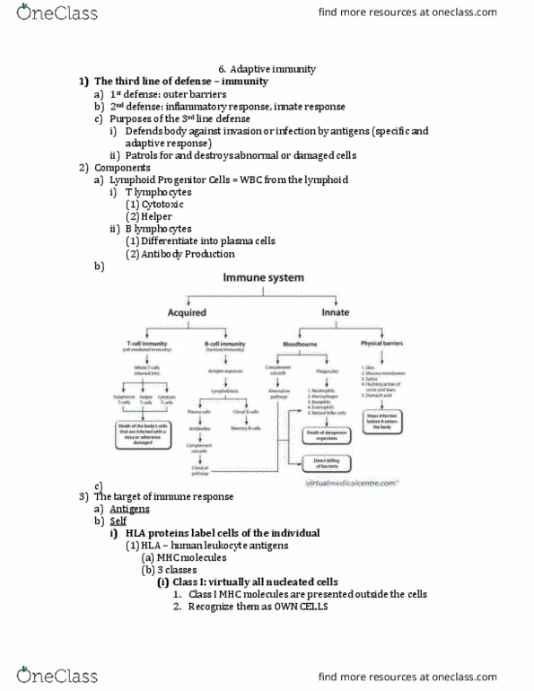 NURSE-UN 1435 Lecture Notes - Lecture 3: Antitoxin, Lipopolysaccharide, Mast Cell thumbnail