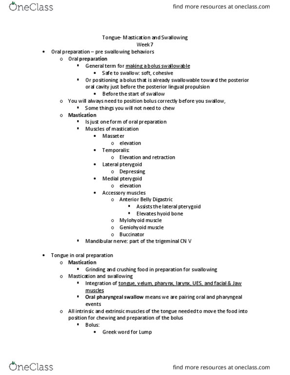 SPA 3101 Lecture Notes - Lecture 14: Hyoglossus, Palatoglossus Muscle, Receptive Field thumbnail