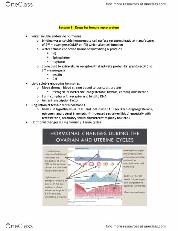 HTHSCI 2H03 Lecture Notes - Lecture 8: Aromatase, Blood Sugar, Acne Vulgaris thumbnail