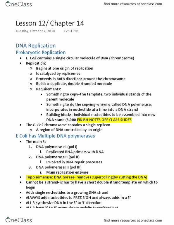BIOL 1105 Chapter Notes - Chapter 14: Dna Polymerase Iii Holoenzyme, Dna Gyrase, The Double Helix thumbnail