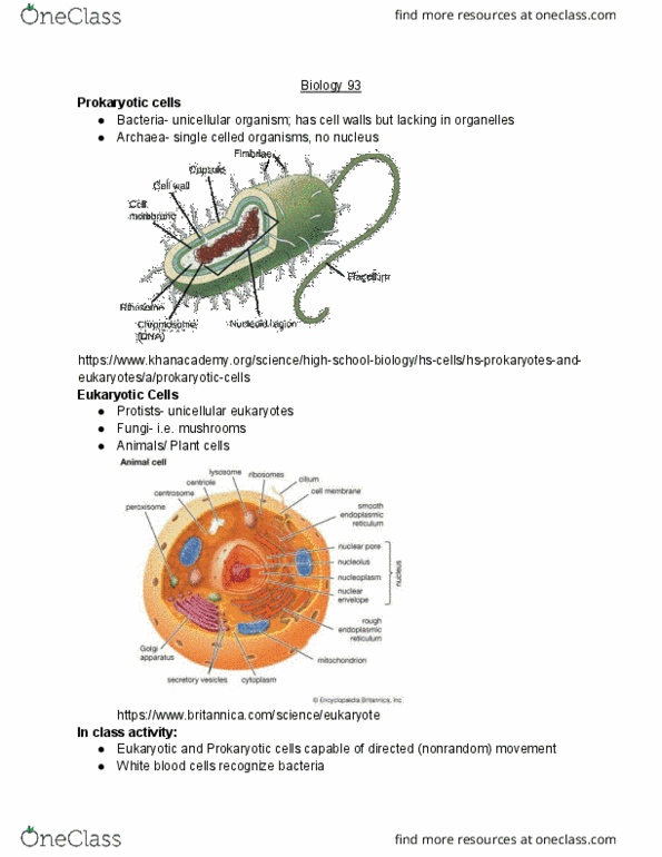BIO SCI 93 Lecture 5: 05260-5- single cell dynamics, membrane structure cover image