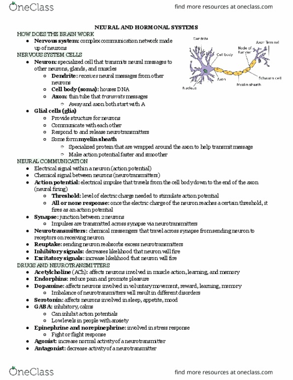01:830:101 Lecture Notes - Lecture 3: Central Nervous System, Peripheral Nervous System, Spinal Cord cover image