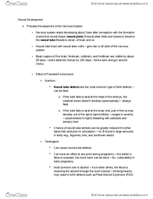 PSYCH 1XX3 Chapter Notes - Chapter 1: Neural Tube Defect, Neural Tube, Synaptic Pruning thumbnail