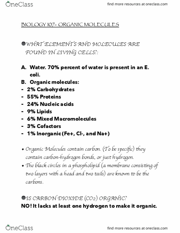 CHEM101 Lecture Notes - Lecture 4: Hydrolysis, Monosaccharide, Phospholipid thumbnail