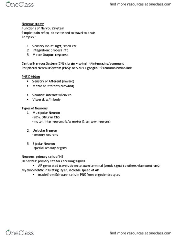 Anatomy and Cell Biology 3319 Lecture Notes - Lecture 1: Central Nervous System, Multipolar Neuron, Unipolar Neuron thumbnail