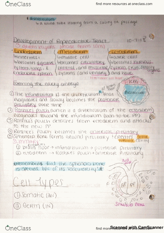 ANS 220 Chapter Multiple: Exam 2 Material Review Part 2 thumbnail