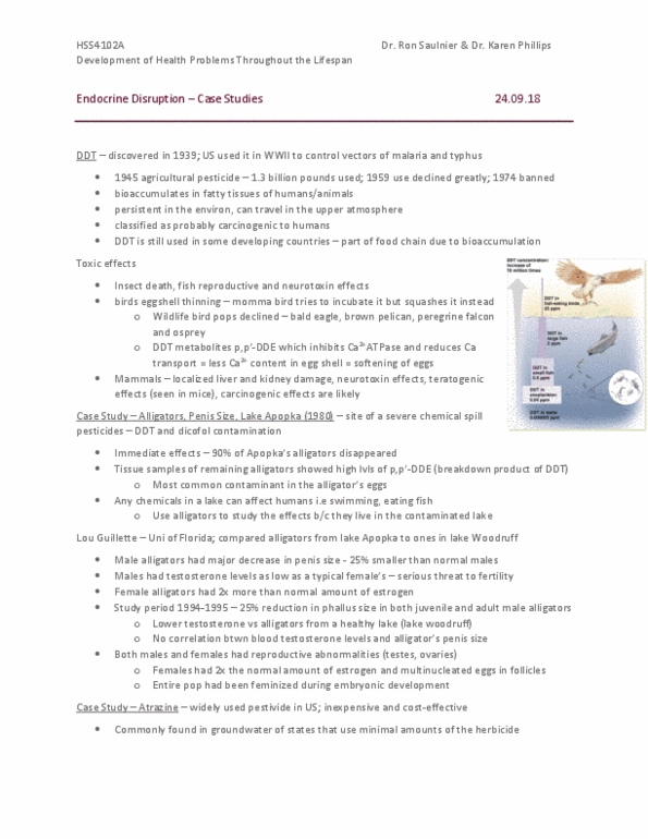 HSS 4102 Lecture 6: Endocrine Disruption Case Studies thumbnail