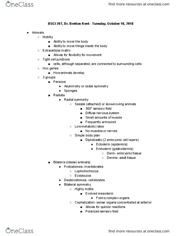 BSCI 207 Lecture Notes - Lecture 18: Parazoa, Extracellular Matrix, Blastomere thumbnail