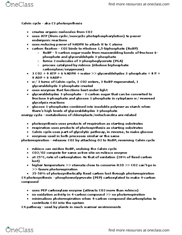 BY 108 Chapter Notes - Chapter 10: Light-Independent Reactions, C4 Carbon Fixation, C3 Carbon Fixation thumbnail