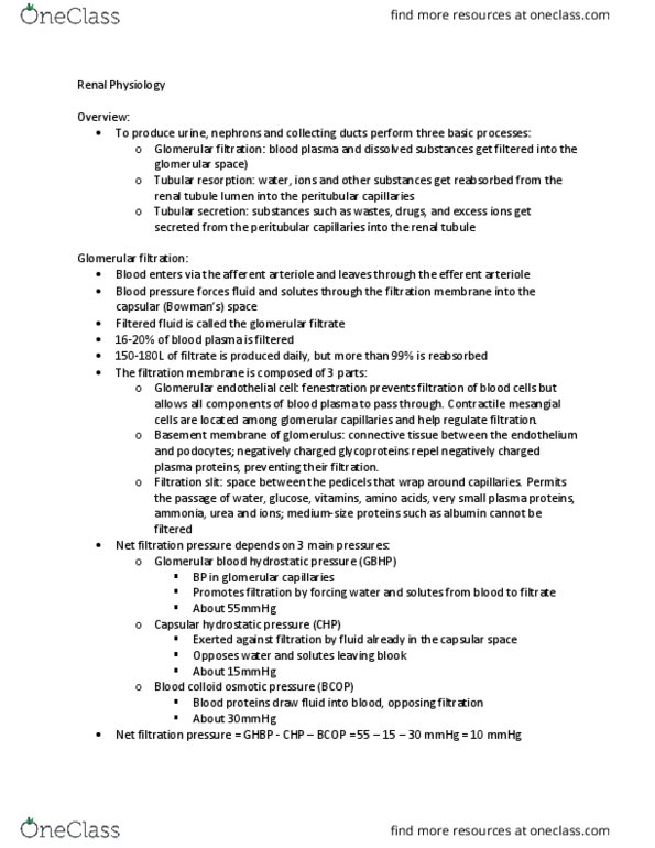 BIO 252 Lecture Notes - Lecture 3: Oncotic Pressure, Peritubular Capillaries, Nephron thumbnail