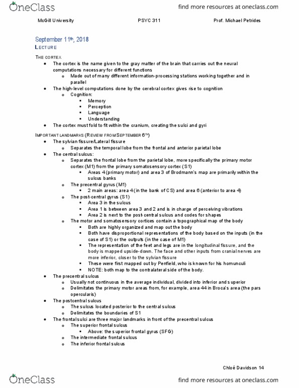 PSYC 311 Lecture Notes - Lecture 3: Superior Frontal Sulcus, Superior Frontal Gyrus, Inferior Frontal Gyrus thumbnail