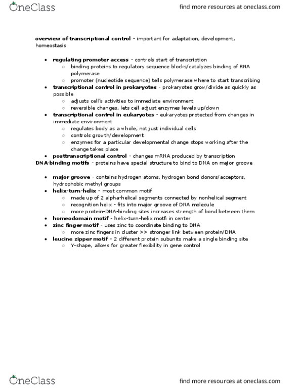 BY 108 Chapter Notes - Chapter 18: Leucine Zipper, Zinc Finger, Homeobox thumbnail